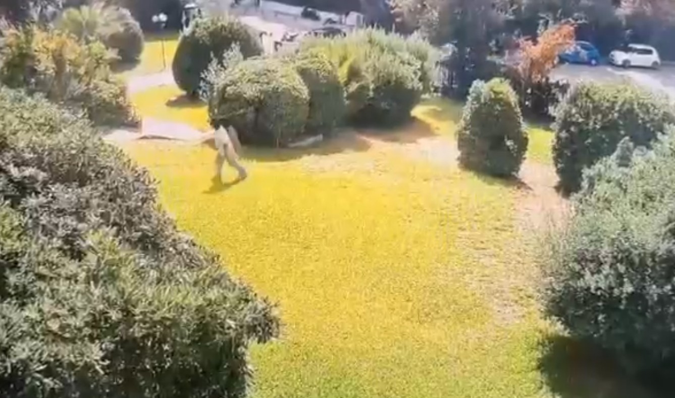 Χολαργός, Ψυχικό, Απάτες