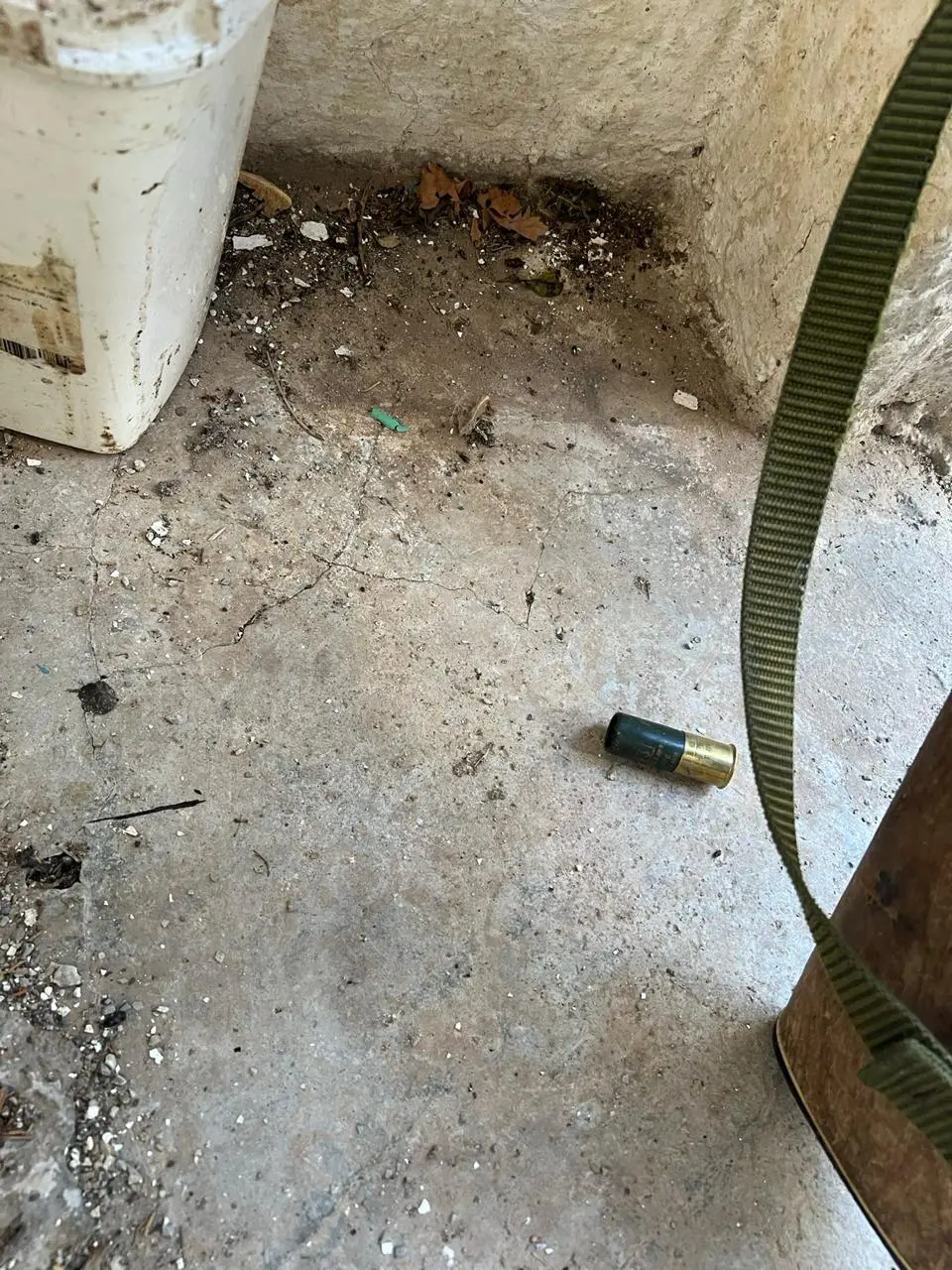 Βορίζια μακελειό