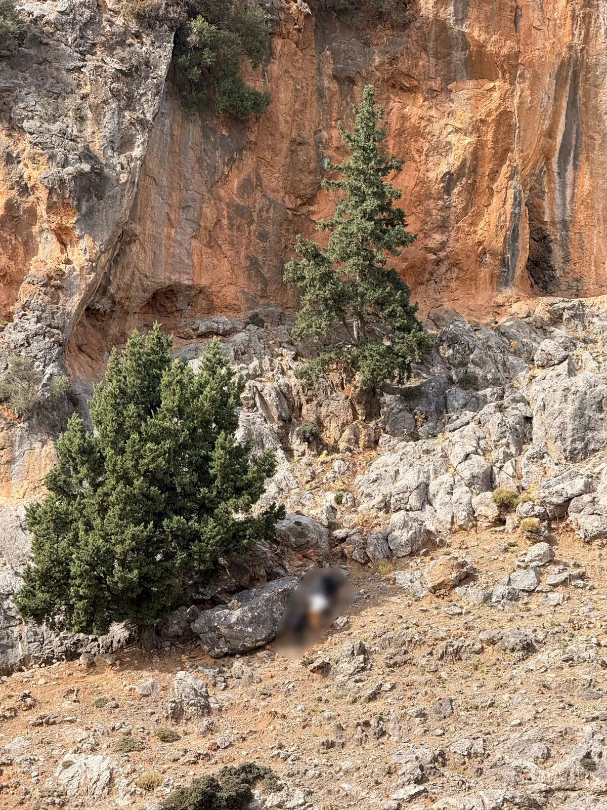 Βορίζια μακελειό