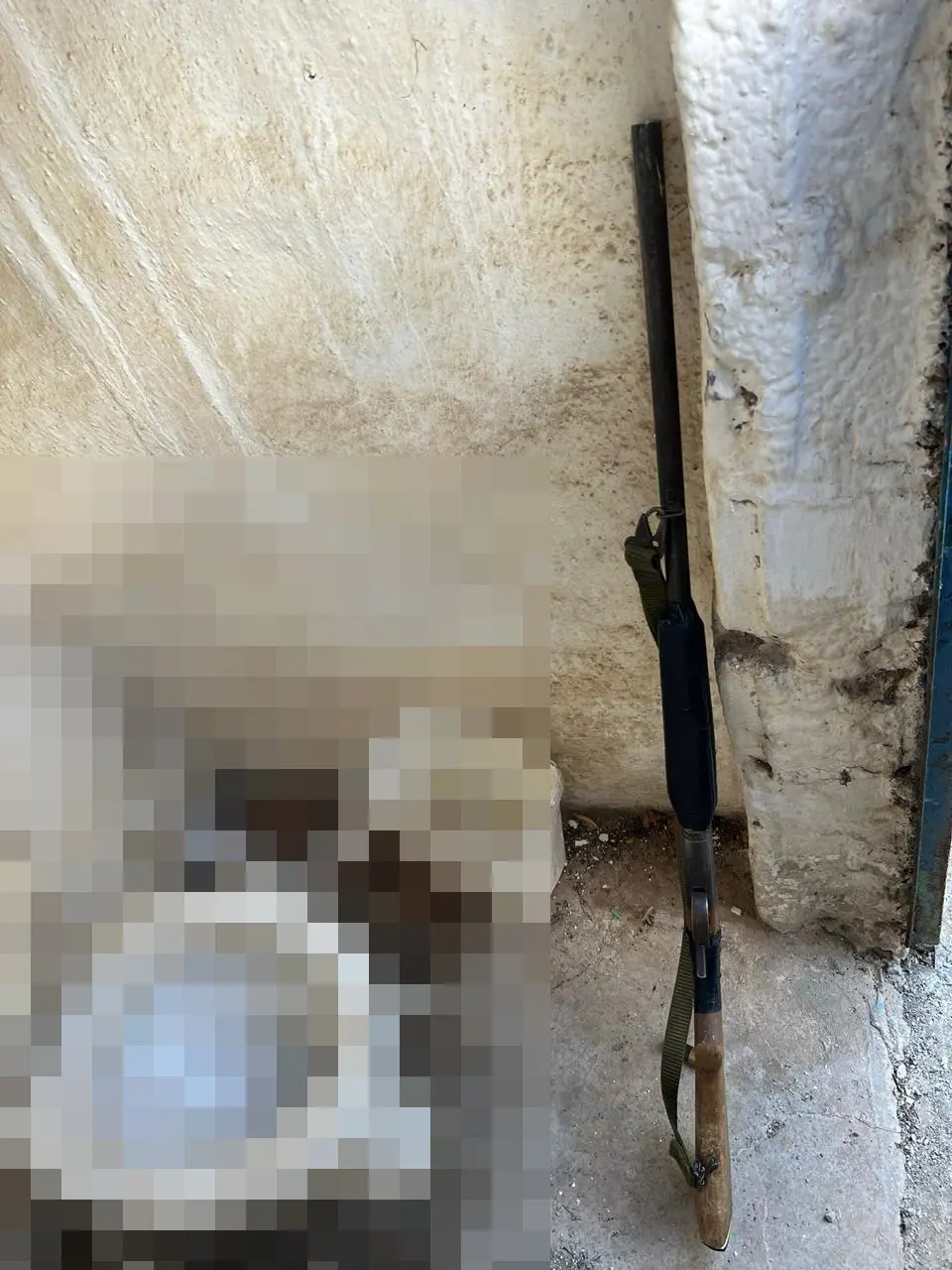 Βορίζια μακελειό