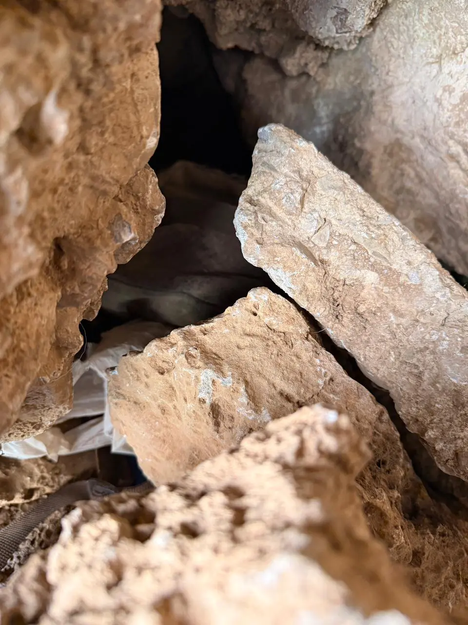 Βορίζια μακελειό