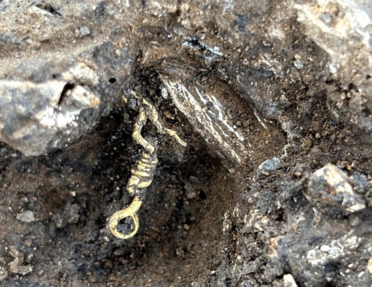 Το άκρο ενός χρυσού βραχιολιού in situ, σχηματισμένο από στριφτό χρυσό έλασμα που καταλήγει σε δακτύλιο. Φωτογραφία : Anne Viero, Inrap