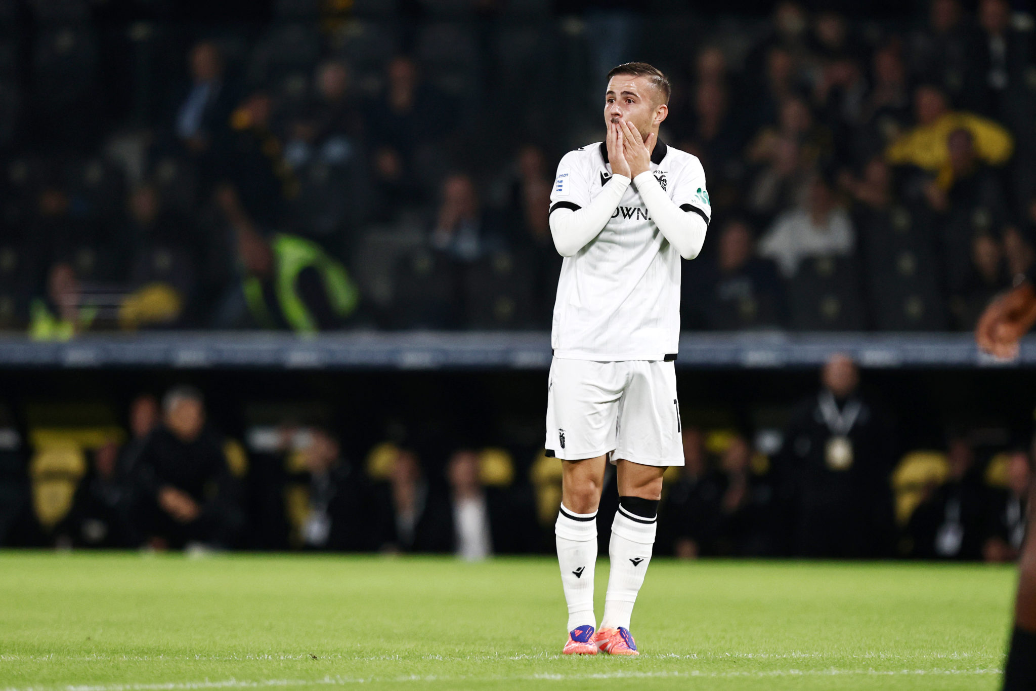 Δημήτρης Πέλκας, ΠΑΟΚ