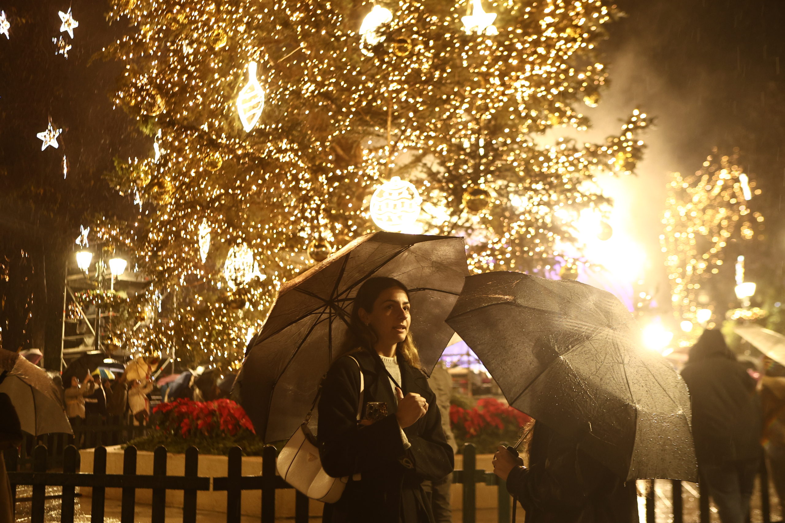 Σύνταγμα, Χριστουγεννιάτικο Δέντρο, Αθήνα,