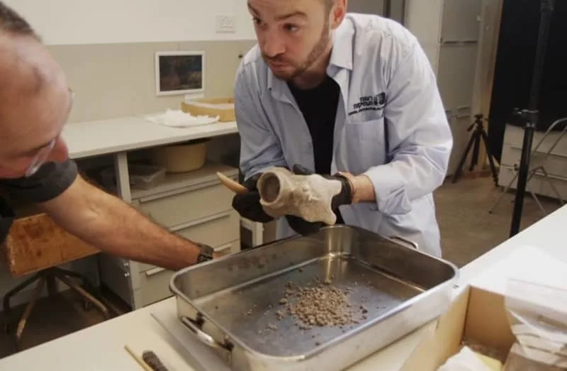 Το τελετουργικό αγγείο μεταφέρθηκε στα εργαστήρια της Αρχαιολογικής Υπηρεσίας του Ισραήλ για συντήρηση και επεξεργασία. Φωτογραφία: Emil Aladjem, Αρχαιολογική Υπηρεσία του Ισραήλ