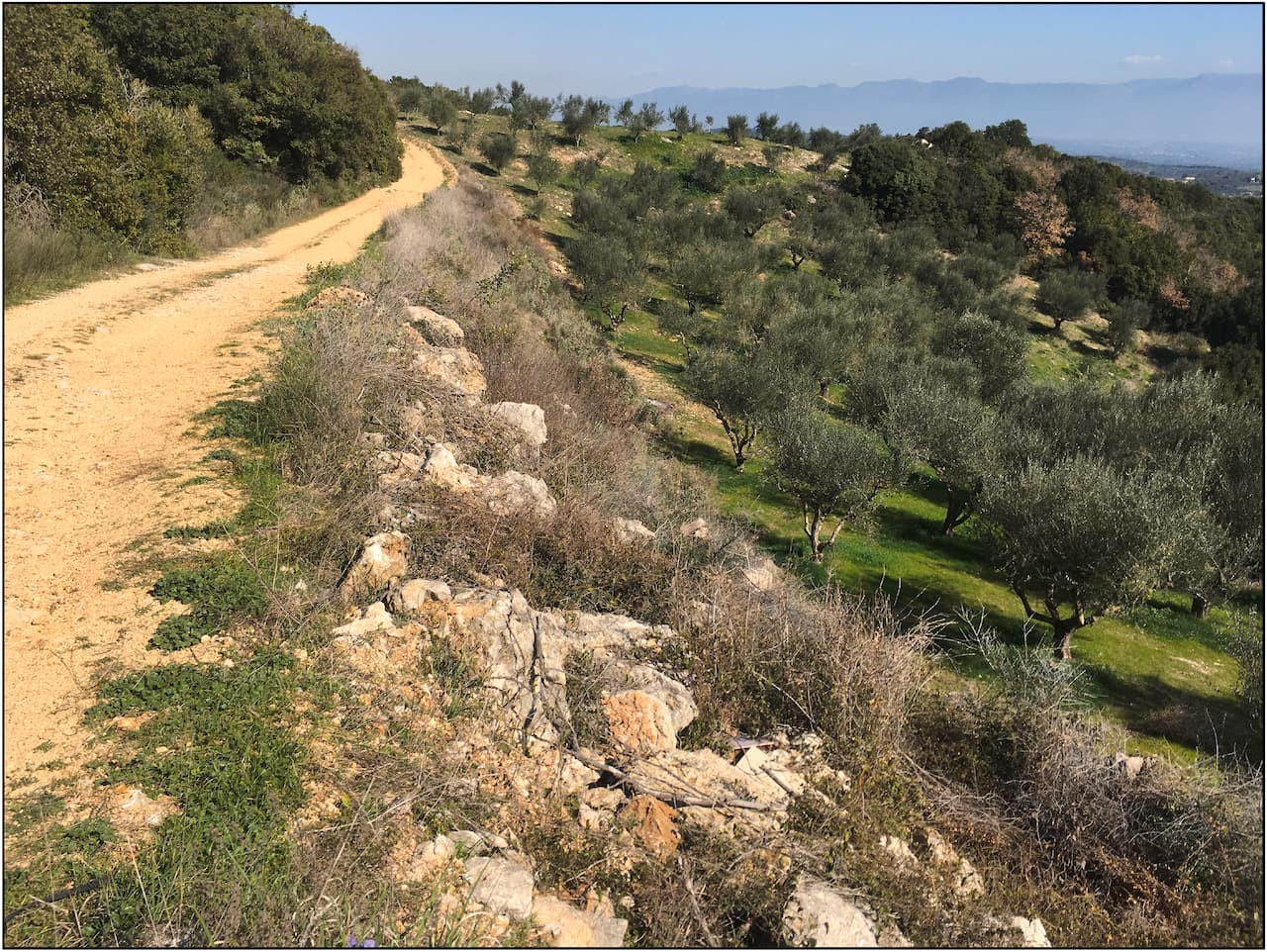 Μεγάλοι ασβεστολιθικοί ογκόλιθοι στο πλάι του πιθανού δρόμου Πύλου-Νιχωρίων. Φωτογραφία: Christopher Nuttall