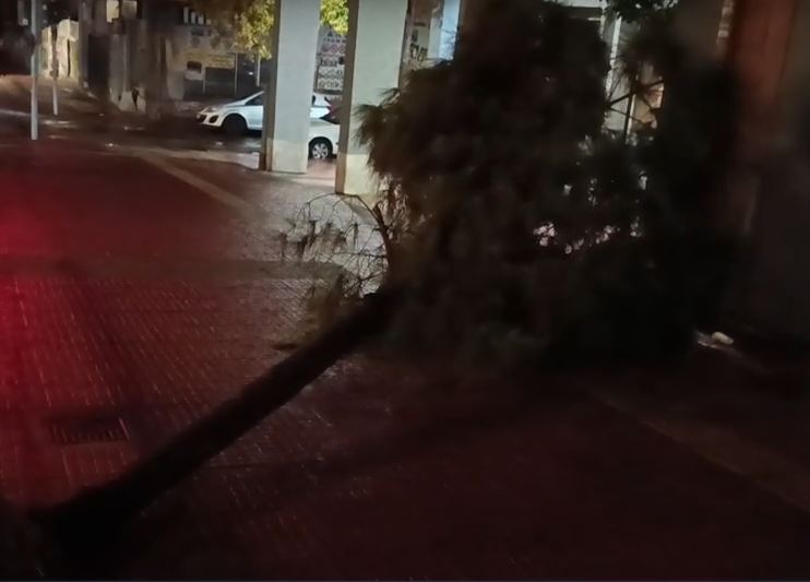 Κακοκαιρία Adel: Έπεσε δέντρο στην Ομόνοια