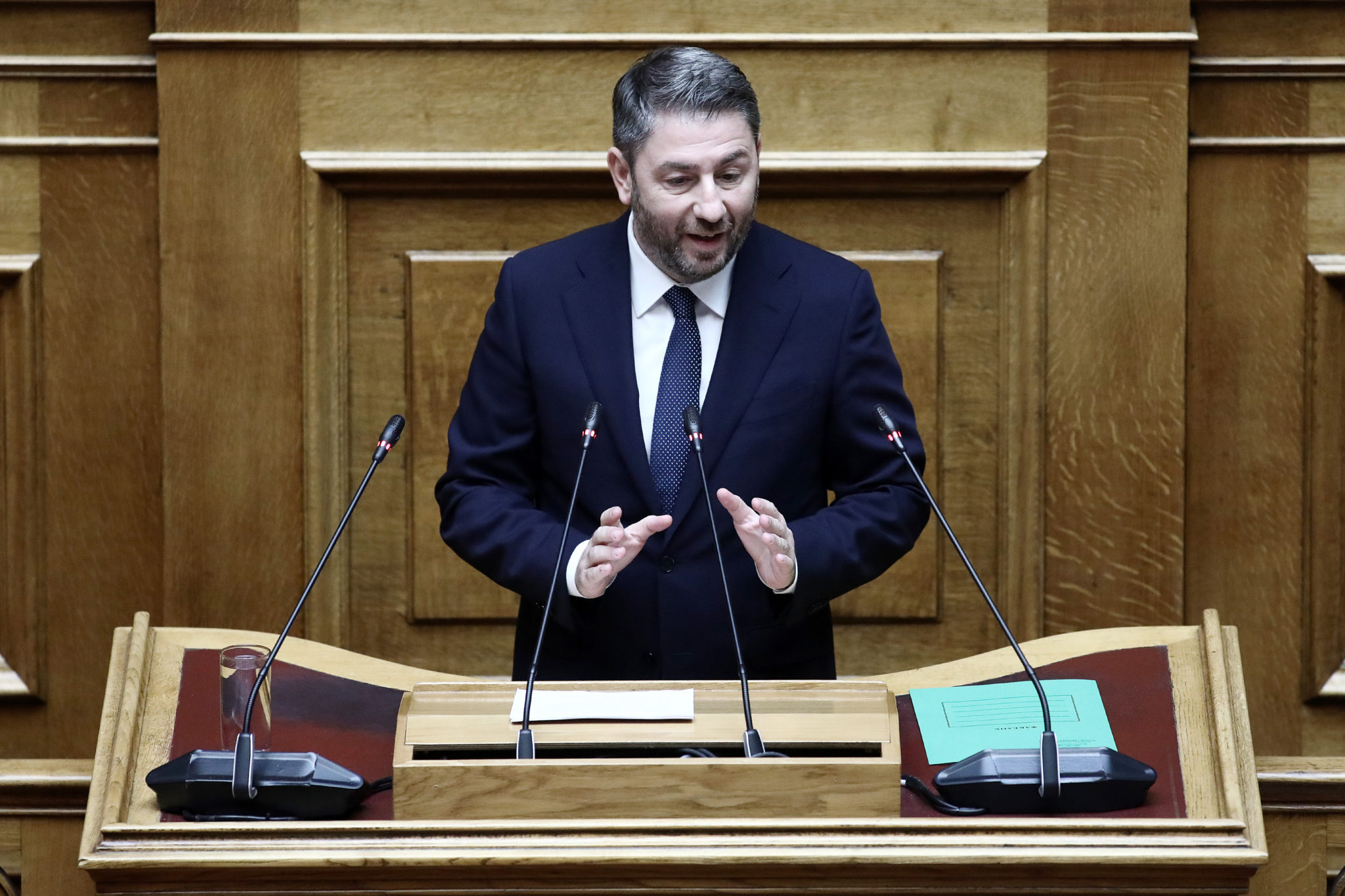 Νίκος Ανδρουλάκης