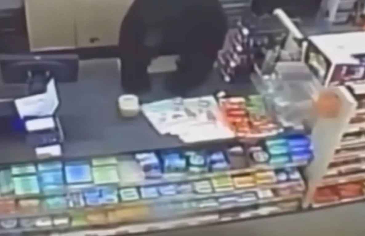 Βίντεο: Αρκούδα εισέβαλε σε κατάστημα και κυνήγησε 11χρονο – «Νόμιζα ότι θα με φάει»