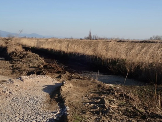 Δέλτα Αξιού