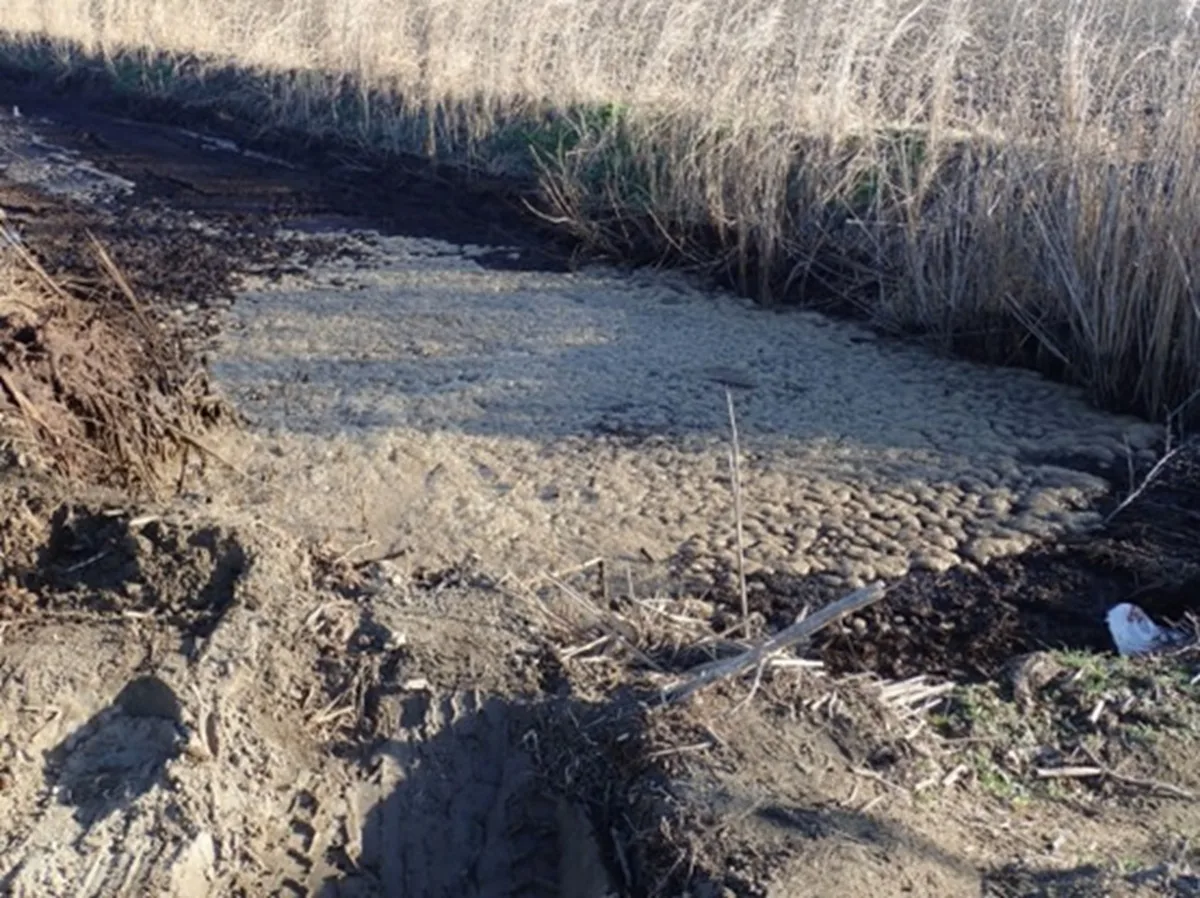 Δέλτα Αξιού