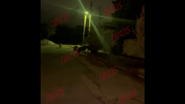 Δροσιά, Αγριογούρουνα