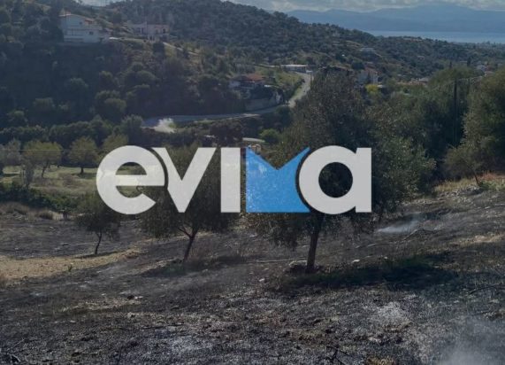 φωτιά Εύβοια