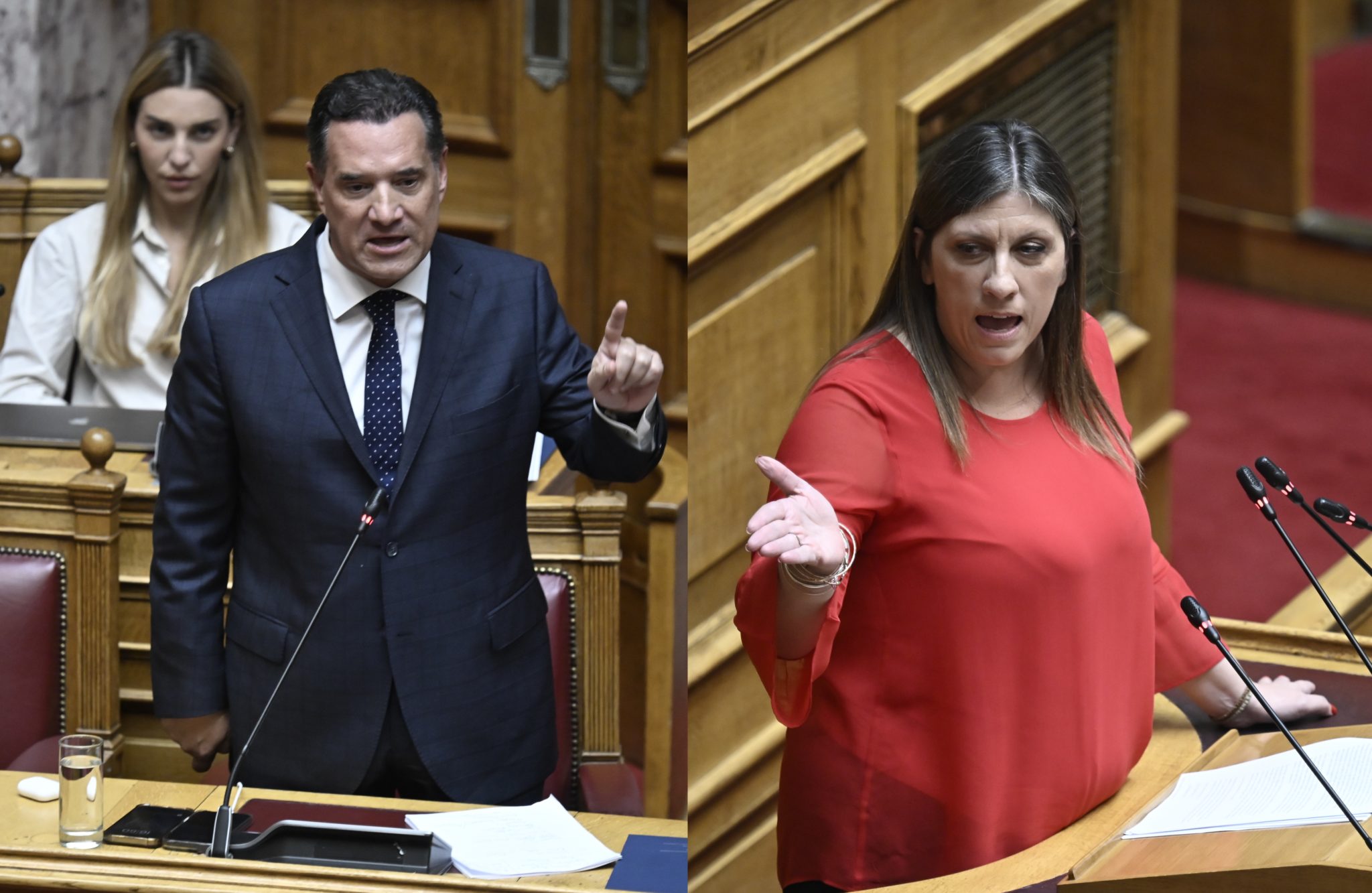 Άδωνις Γεωργιάδης, Ζωή Κωνσταντοπούλου