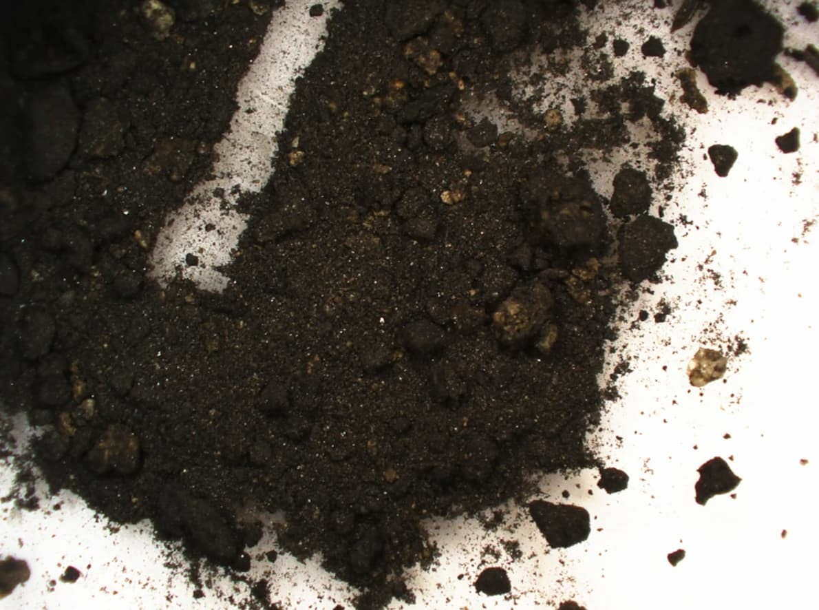 Χάρτης της Conimbriga που δείχνει τη θέση όπου ανακαλύφθηκε το μελανηδοχείο (Α), και λεπτομερής άποψη του αρχαιολογικού πλαισίου στο οποίο βρέθηκε το μελανηδοχείο (Β). Φωτογραφία: C. Oliveira et al. 2025 