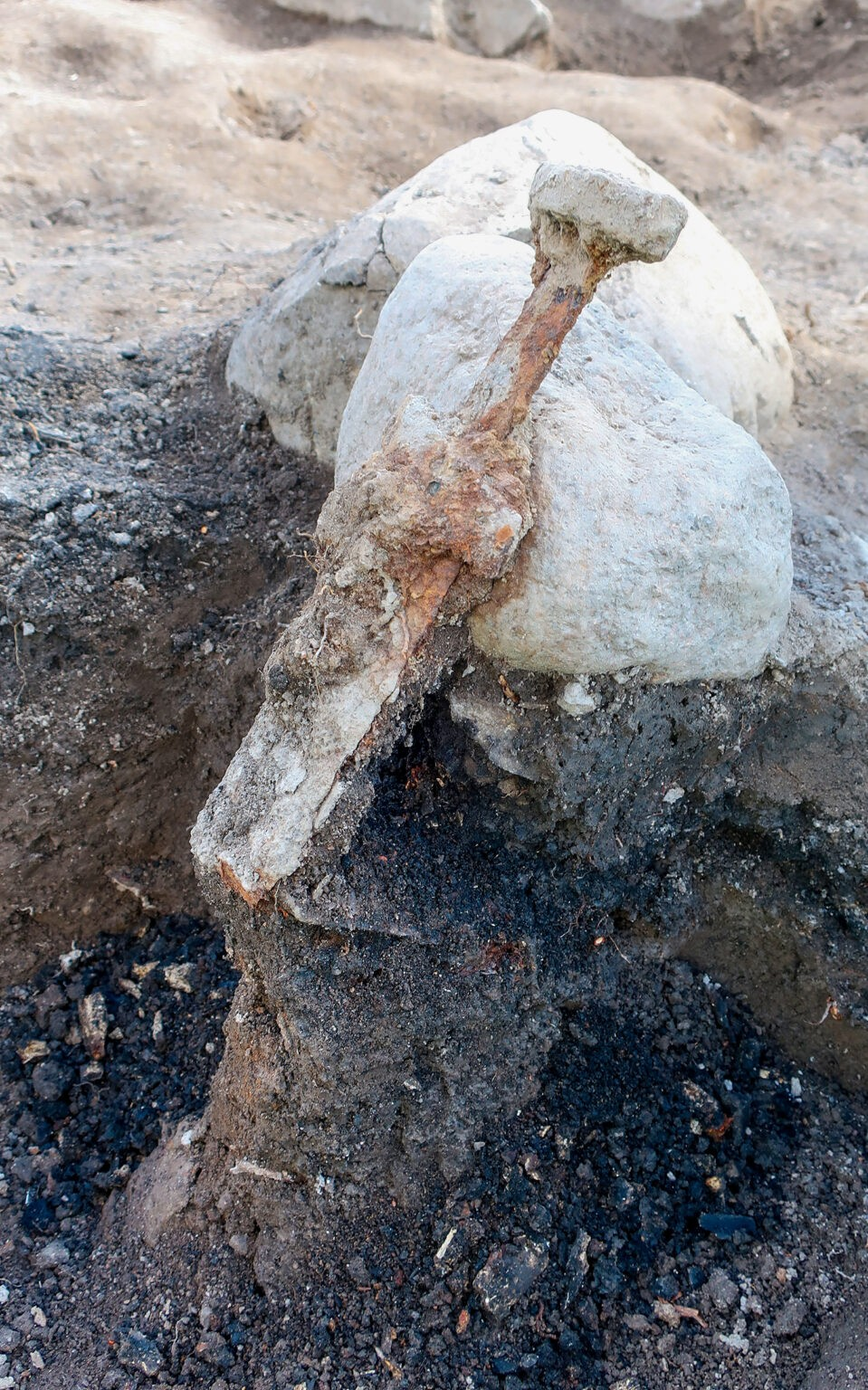 Η σπασμένη λεπίδα δείχνει ότι τα σπαθιά κάρφωσαν στο έδαφος με μεγάλη δύναμη. Γύρω από τη λεπίδα βρίσκεται το μαύρο στρώμα αποτέφρωσης που περιέχει καμένα οστά. Φωτογραφία: Arkeologerna