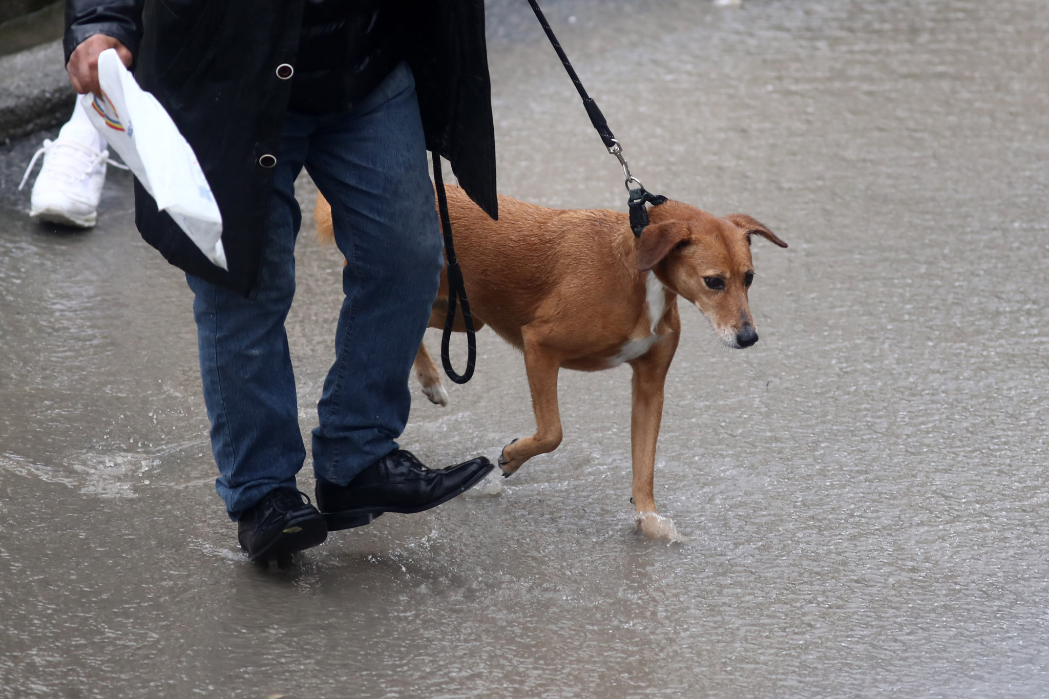 καιρός βροχή κακοκαιρία Αθήνα