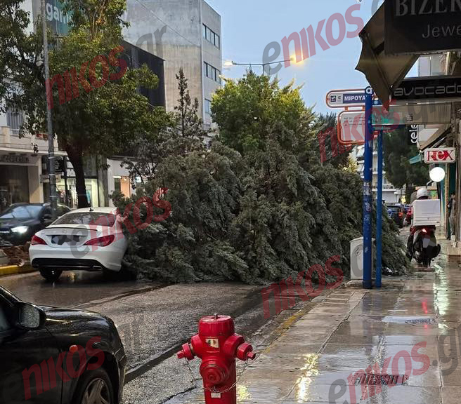 Κακοκαιρία Adel, πτώση δέντρου, Νέα Ιωνία