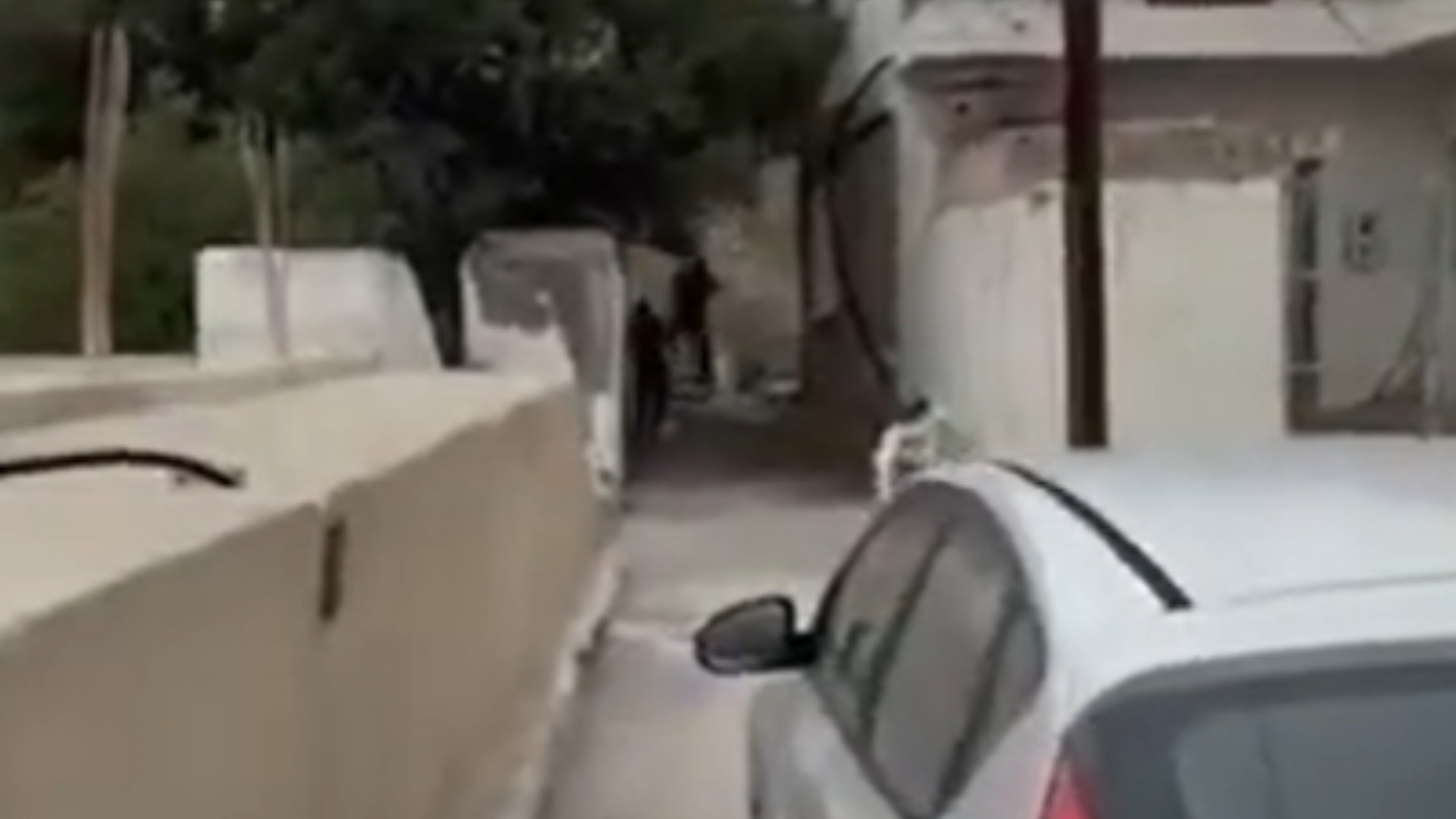 Μακελειό στα Βορίζια: Βίντεο ντοκουμέντο από τη στιγμή που ο γαμπρός του Φανούρη Καργάκη πυροβολεί με καλάσνικοφ