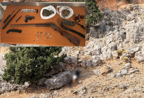 όπλα Βορίζια