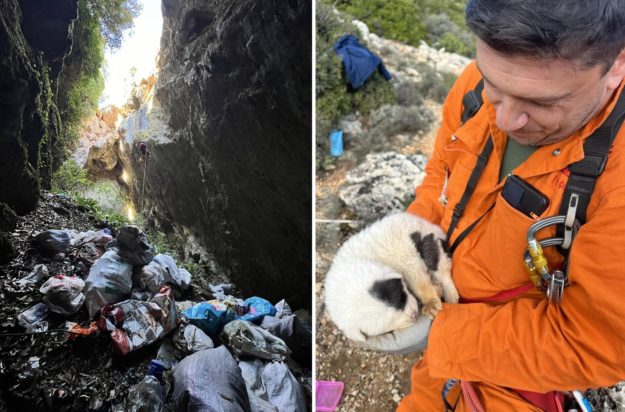 Πήλιο, Κτηνωδία