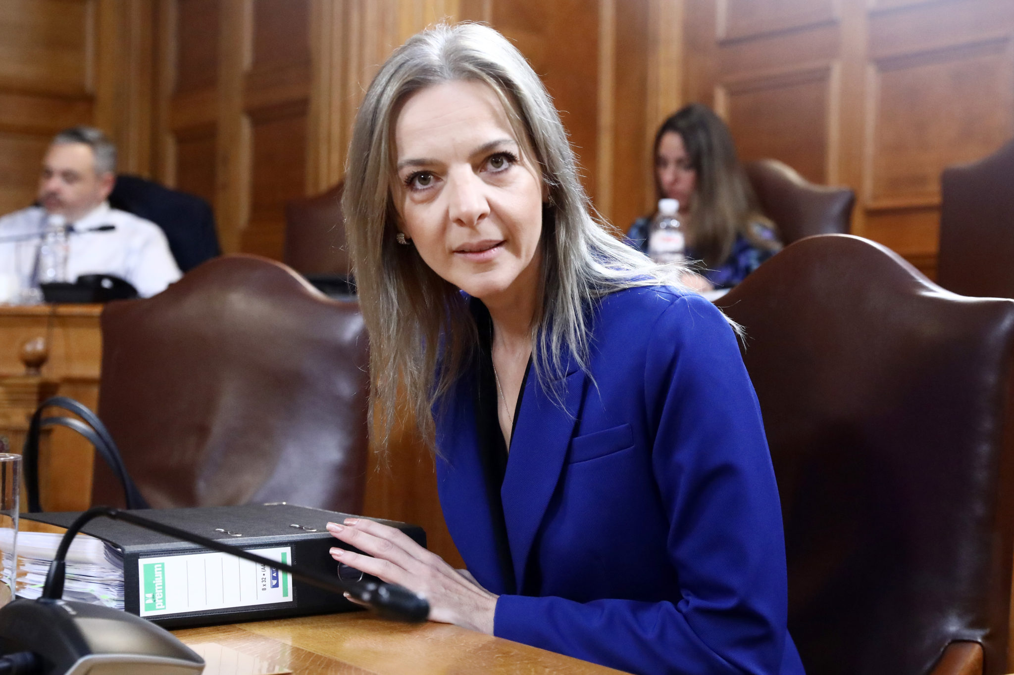 Σεμερτζίδου