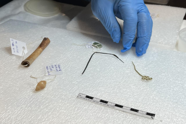 Ένας ερευνητής οργανώνει τεχνουργήματα ηλικίας 4.500 ετών κατά τη διάρκεια εργασιών συντήρησης στο Μουσείο Τροίας, στα Δαρδανέλια (Canakkale), Τουρκία, στις 17 Νοεμβρίου 2025. Φωτογραφία: AA