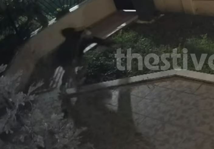 Θεσσαλονίκη: Ατζαμής… κλέφτης αρπάζει χριστουγεννιάτικα στολίδια από αυλές σπιτιών και πέφτει στο έδαφος – Δείτε βίντεο