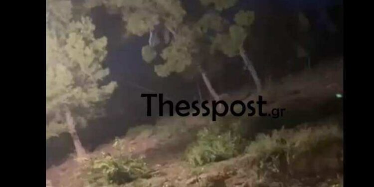 Χαλκιδική: Βίντεο με τσακάλια να ουρλιάζουν δίπλα σε σπίτια – «Φοβόμαστε να πετάξουμε τα σκουπίδια»