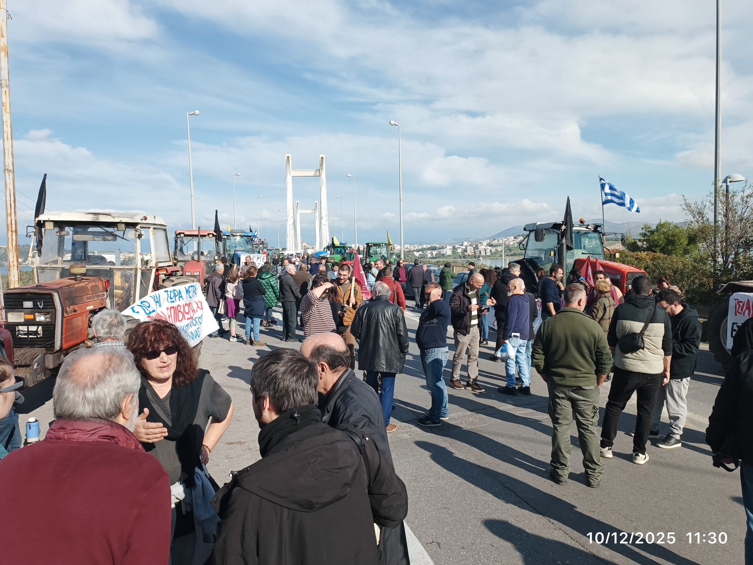 αγρότες, Χαλκίδα