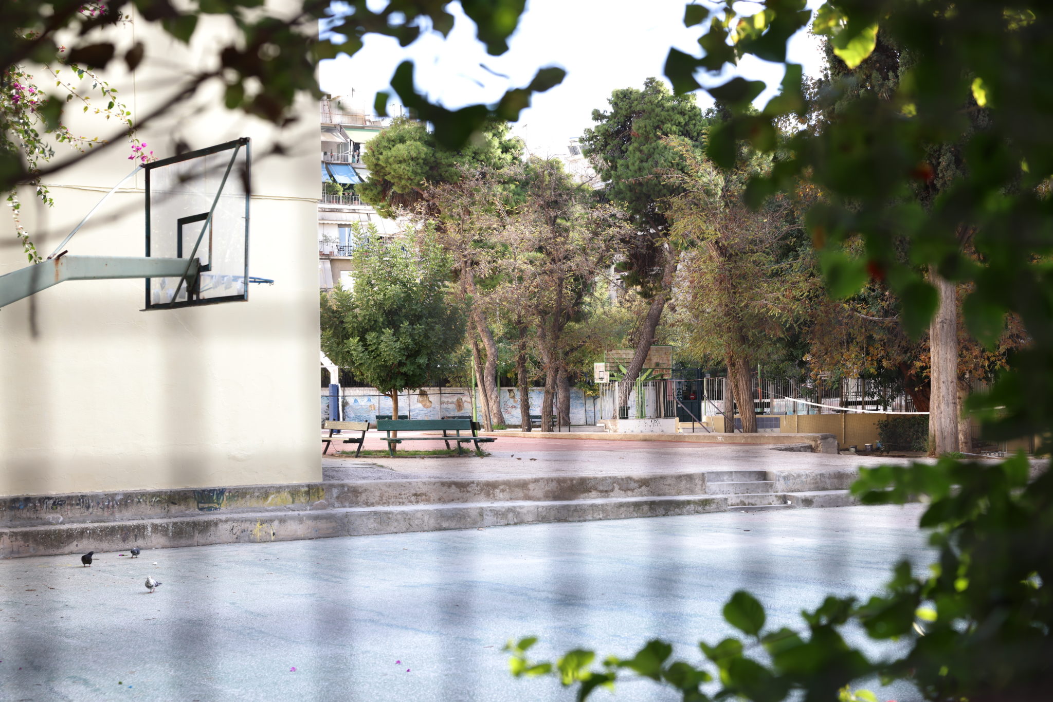 Κυψέλη, σχολείο, μαχαίρωμα