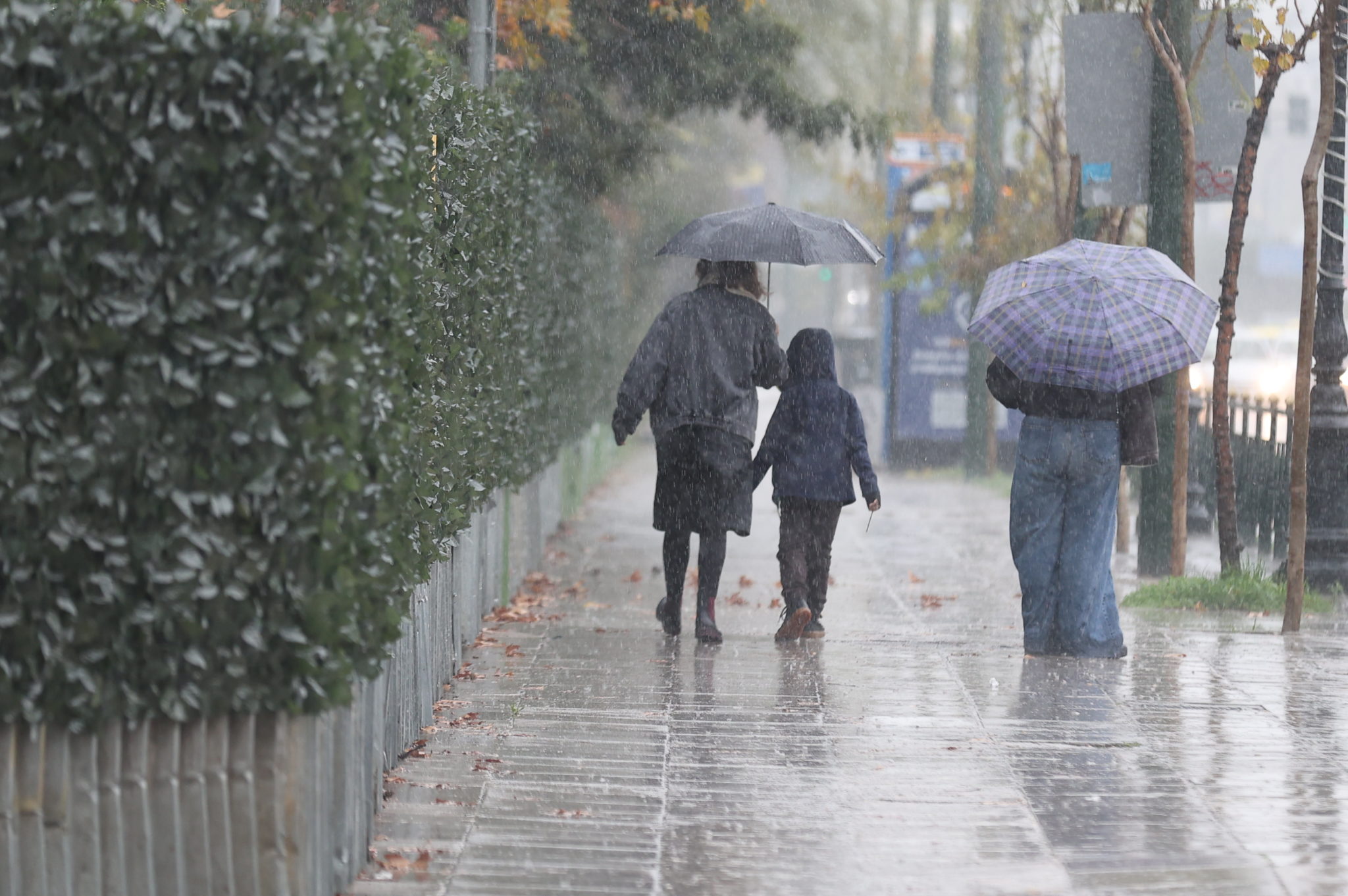 καιρός, Αττική, βροχή
