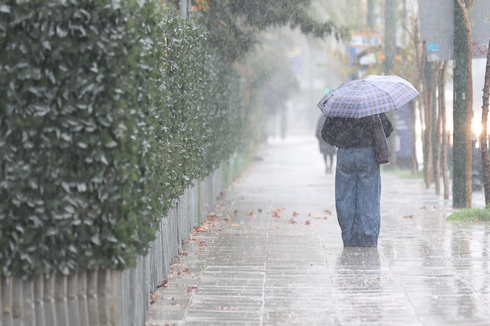 καιρός, Αττική, βροχή