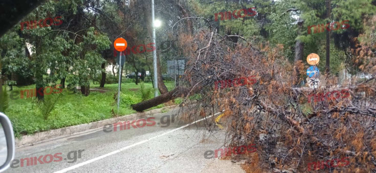 κακοκαιρία- Δρομοκαΐτειο
