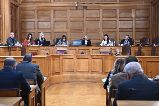 Εξεταστική Επιτροπή- ΟΠΕΚΕΠΕ