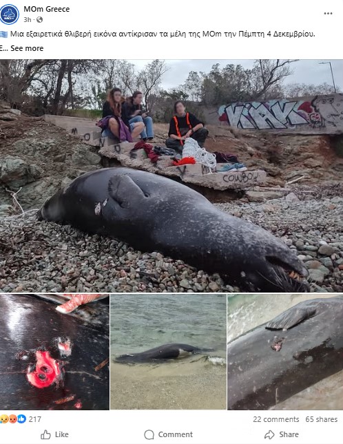 ΝΕΚΡΗ ΦΩΚΙΑ 