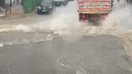 ΚΑΤΑΙΓΙΔΑ ΑΤΤΙΚΙ