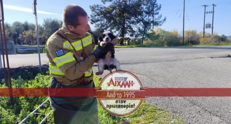 ΚΟΥΤΑΒΙΑ ΜΕΣΟΛΟΓΓΙ