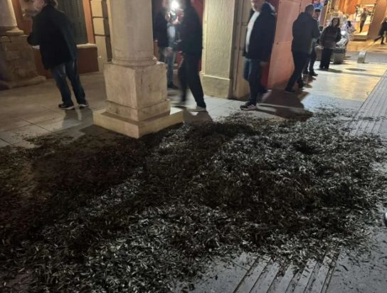 ΚΡΗΤΗ ΑΓΡΟΤΕΣ