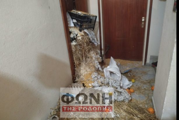 Κομοτηνή - αγρότες- Στυλιανίδης