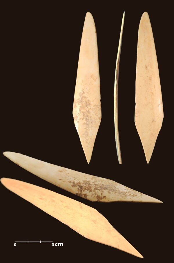 Μια γραφίδα που χρησιμοποιούνταν για γραφή σε κέρινες πινακίδες. Φωτογραφία: Γραφείο Τύπου της Πολιτικής Διοίκησης. Φωτογραφία: COGAT