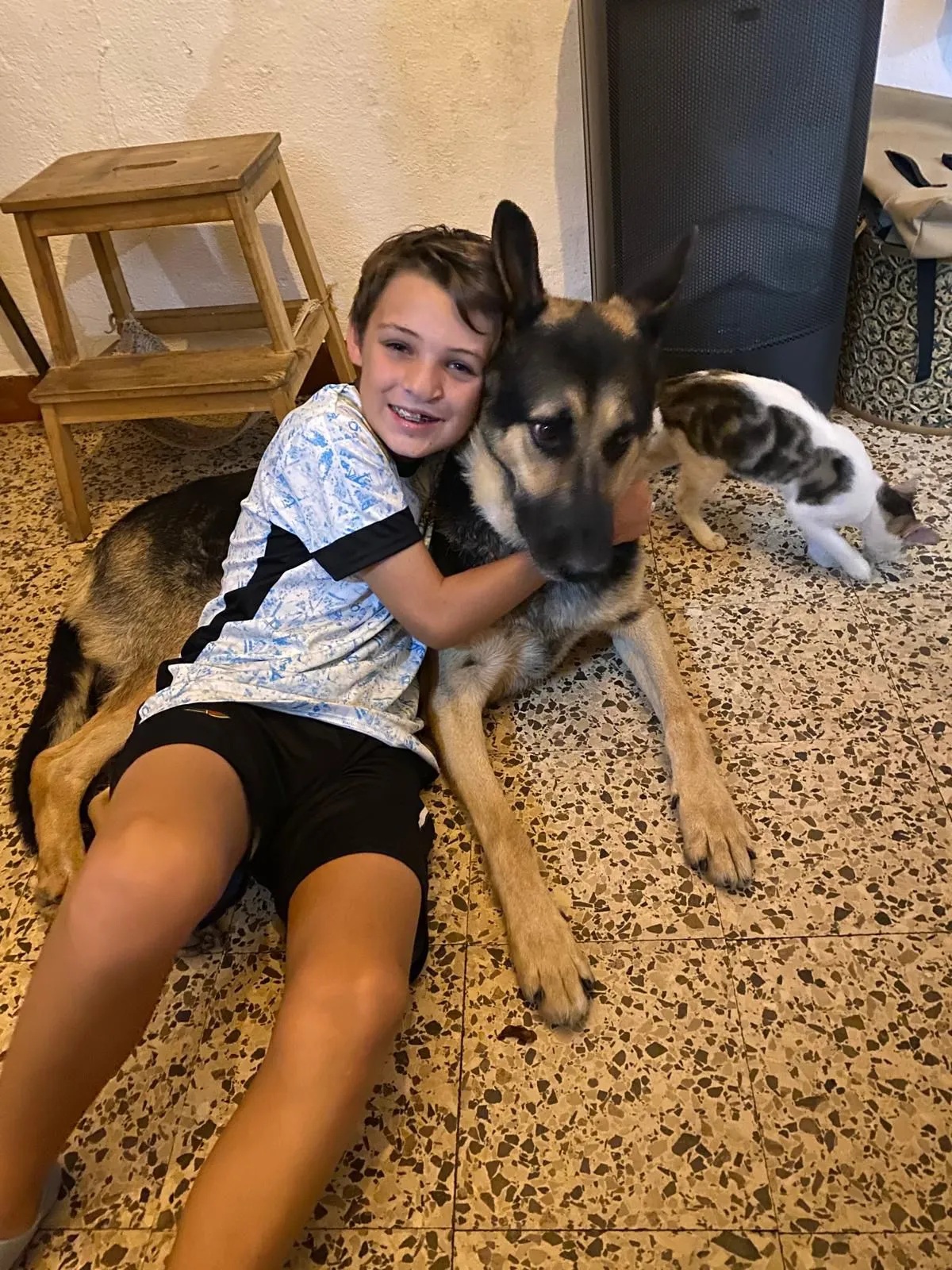 Ο 13χρονος Αλφι Χάλετ