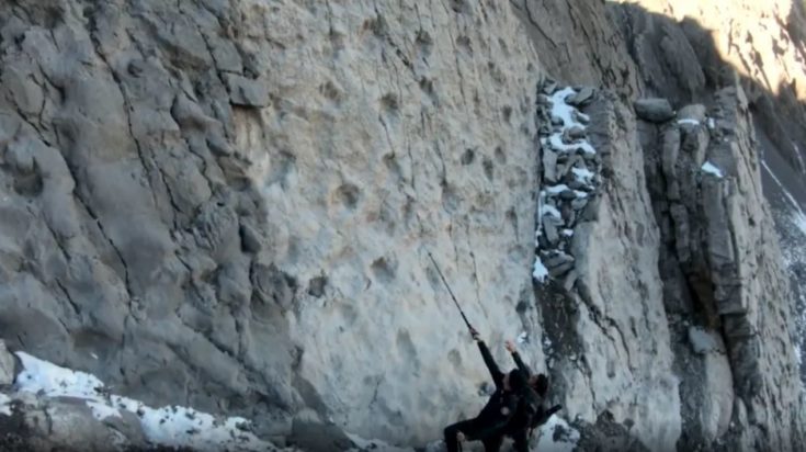 Ιταλία: Χιλιάδες αποτυπώματα δεινοσαύρων βρέθηκαν σε έναν κάθετο βράχο στις Άλπεις