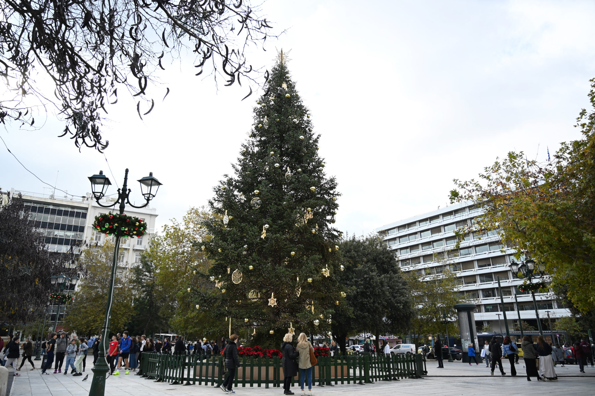δέντρο - Σύνταγμα- Χριστούγεννα