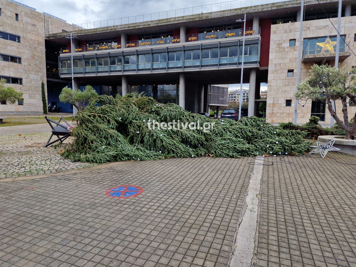 Κακοκαιρία Byron: Έπεσε το χριστουγεννιάτικο δέντρο στο Δημαρχείο Θεσσαλονίκης