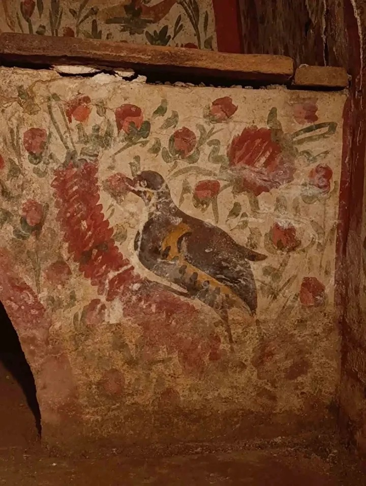 Ενώ ο νότιος τοίχος υπέστη σοβαρές ζημιές, οι ανατολικοί, δυτικοί και βόρειοι τοίχοι—μαζί με την οροφή—διατηρήθηκαν σχεδόν άθικτοι, παρουσιάζοντας ανθρώπινες μορφές που δεν μοιάζουν με κανένα άλλο παράδειγμα στην περιοχή. Φωτογραφία: Arkeoloji Haber