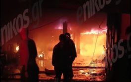 Φωτιά, Εύβοια