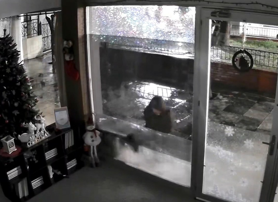 Μυστηριώδης άνδρας κυνηγάει και αρπάζει αδέσποτες γάτες στη Νέα Φιλαδέλφεια – ΒΙΝΤΕΟ ντοκουμέντα