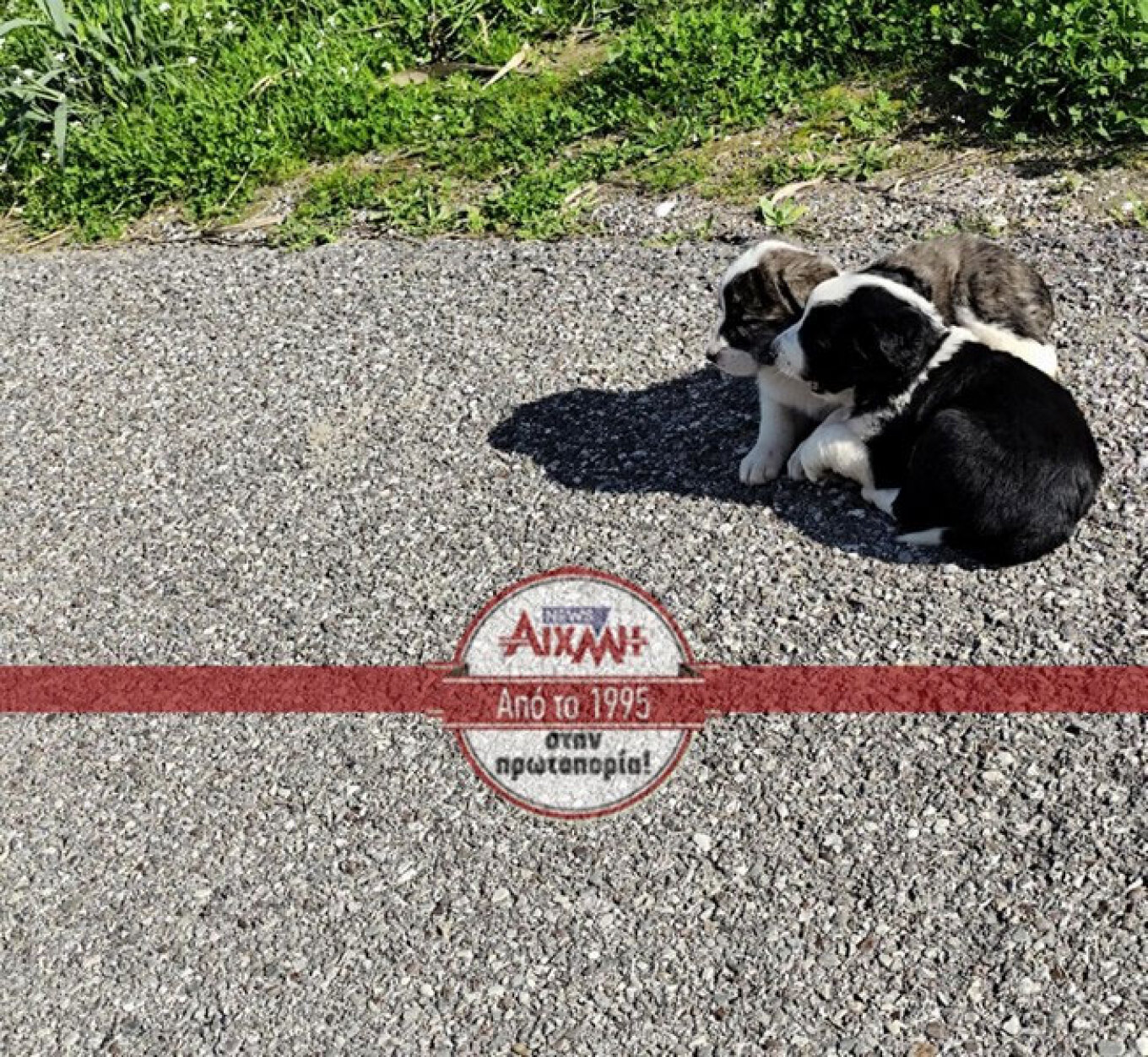 ΚΟΥΤΑΒΙΑ ΜΕΣΟΛΟΓΓΙ