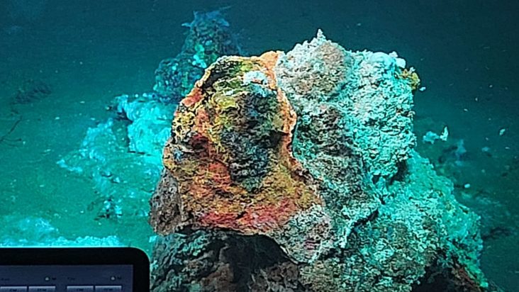 φωτογραφίες από τα υδροθερμικά πεδία, όπως αποτυπώθηκαν με τις κάμερες του υποβρύχιου ρομπότ.